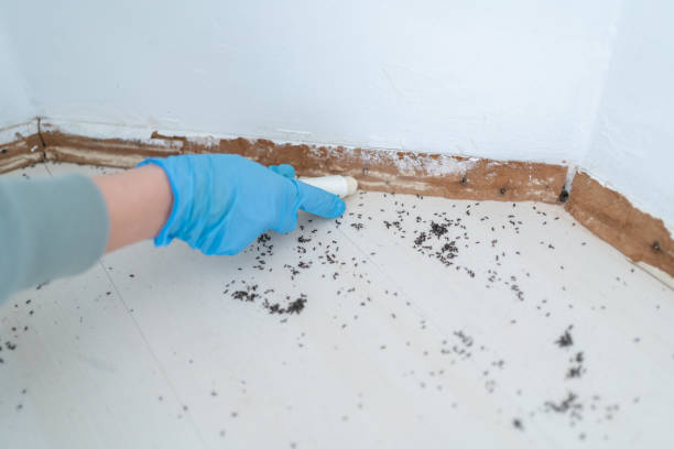 Best Cockroach Control Services  in Fowlerville, MI